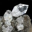 Exceptional Herkimer Diamond Cluster On Druzy Quartz #34053-1